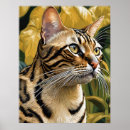 Search for cat breeds posters Animals