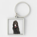 Search for individual key rings Studio shot