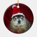 Search for woodchuck christmas tree decorations Groundhog
