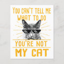 Search for cat advice cards Kitten