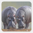Search for dangerous animals stickers Nature