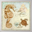 Search for turtle design posters Coastal