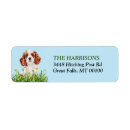 Search for cavalier king charles return address labels Spaniel