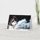 Search for malamute christmas cards Alaskan