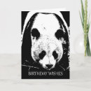 Search for black and white panda cards Bear