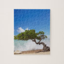 Search for aruba puzzles Island