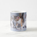 Search for baby kitten mugs Pet