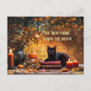 Search for bewitch postcards Black cat