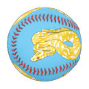Search for pythons Florida