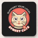Search for adopt barware Cat