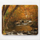 Search for rush mousepads Forest