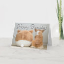Search for corgi puppy birthday cards Pembroke welsh corgi