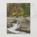 Search for river rocks postcards Fall