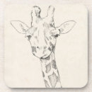 Search for giraffe coasters Animal
