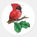 Search for cute cardinal stickers Birds