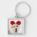 Search for beds accessories Animals