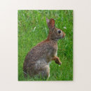 Search for rabbit puzzles Bunnies