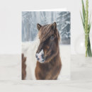 Search for iceland cards Pony