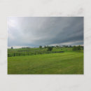 Search for kentucky postcards Race horse