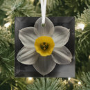 Search for daffodil christmas tree decorations Petal