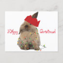 Search for hoppy christmas cards Pet