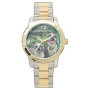 Search for bostons accessories Dogs