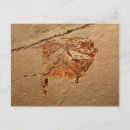 Search for fossil postcards Cretaceous