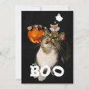 Search for pet halloween cards Cat