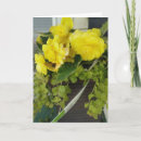 Search for angel wings cards Flowers