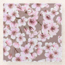 Search for cherry blossoms coasters Pattern