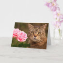 Search for cute tiger birthday cards Kitten