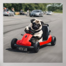 Search for pug art Animal
