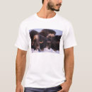 Search for coastal plains clothing North slope