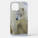 Search for mama bear iphone cases Wildlife