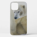 Search for bear cubs iphone cases Nature