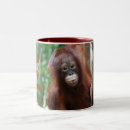 Search for borneo mugs Great ape