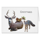 Search for grey squirrel cards Animals