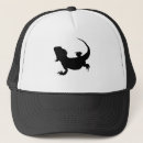 Search for reptiles hats amphibians