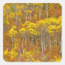 Search for grove stickers Yellow