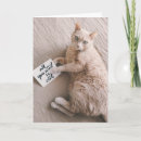 Search for crazy lady postcards Feline