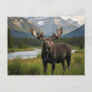Search for canada national parks postcards Souvenir