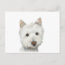 Search for westies postcards Dog
