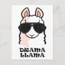 Search for no drama postcards Cute
