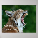 Search for wildcat art Animal