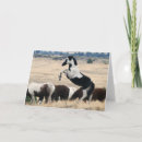 Search for horse note cards Mustang