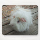 Search for guineas mousepads Cute