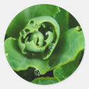 Search for droplets stickers Green