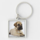 Search for great dane puppy key rings Animal