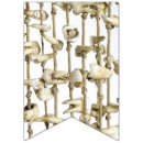 Search for funny graduation signs Dentist