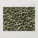 Search for coffee beans postcards Retro